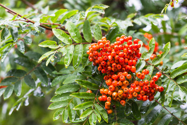 Similar image 17243090