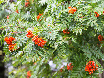 Similar image 17243104