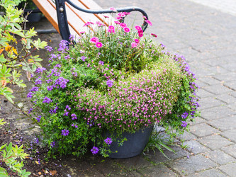 Similar image 17243130