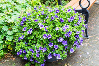 Similar image 17243131