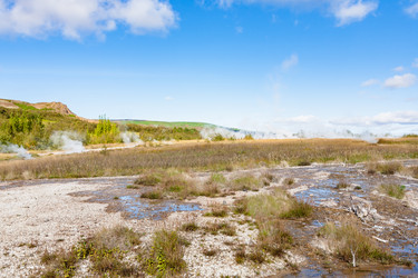 Similar image 17242206