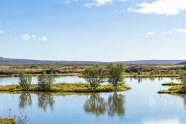 Similar image 17242807