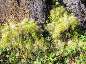 Similar image 17242929