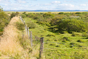 Similar image 17242983