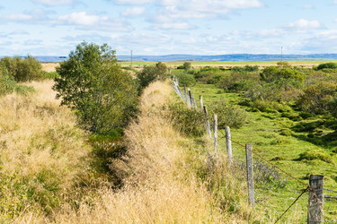 Similar image 17243028