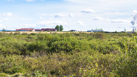 Similar image 17243032