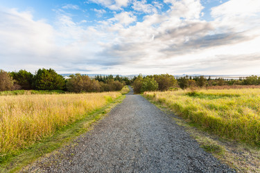 Similar image 17243236