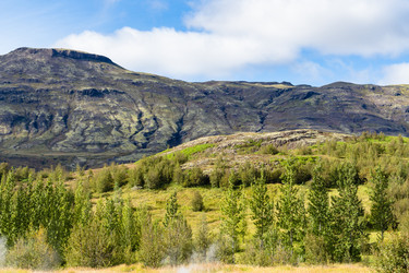 Similar image 17242370