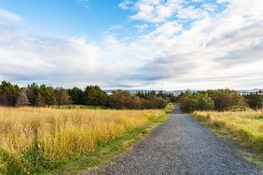 Similar image 17242785