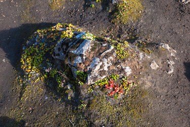 Similar image 17242833