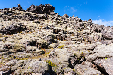 Similar image 17242968