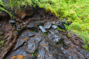 Similar image 17242654