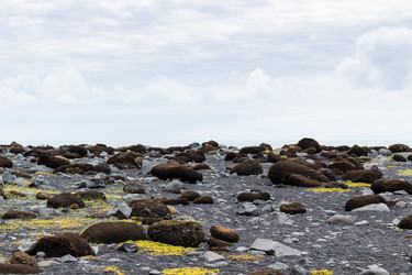 Similar image 17242676