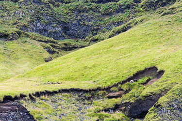 Similar image 17242713