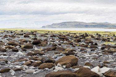 Similar image 17242836