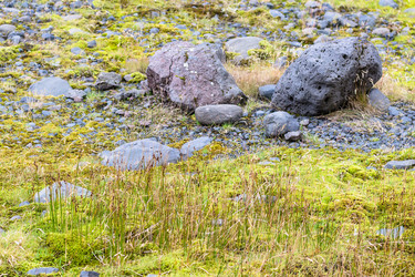 Similar image 17242978