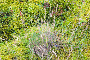 Similar image 17243113