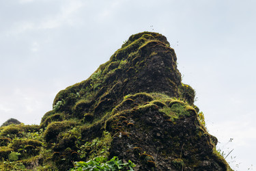 Similar image 17243248