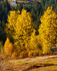 Similar image 17542975