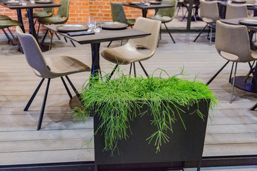 Similar image 16925411