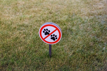 Similar image 16925459