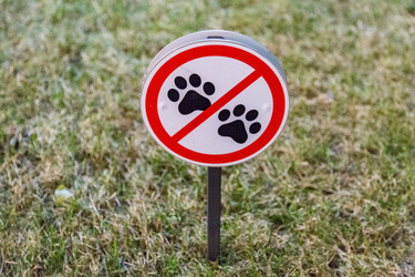 Similar image 16925480