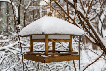 Similar image 16925873