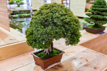 Similar image 16925874