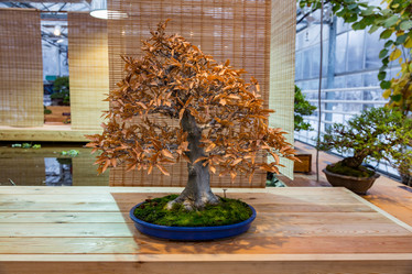 Similar image 16925478