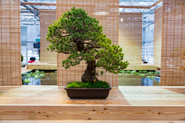 Similar image 16925482