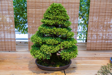 Similar image 16925503