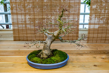 Similar image 16925508