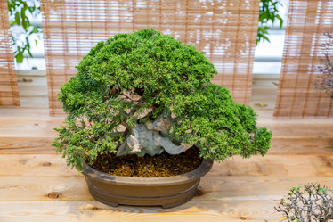 Similar image 16925509