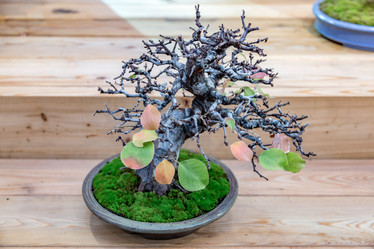 Similar image 16925809