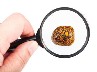 Similar image 17242680