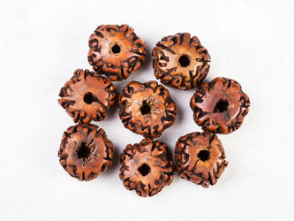 Similar image 17242733