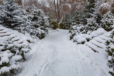 Similar image 16925529