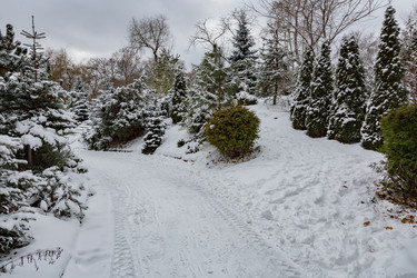 Similar image 16925567