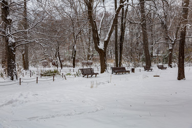 Similar image 16925568