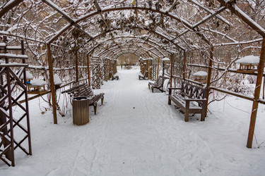 Similar image 16925779