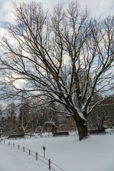 Similar image 16925781