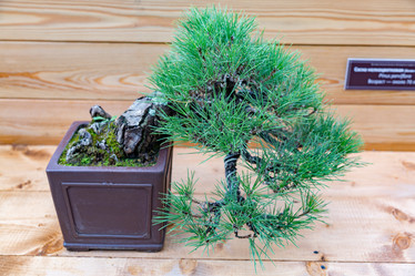 Similar image 16925782