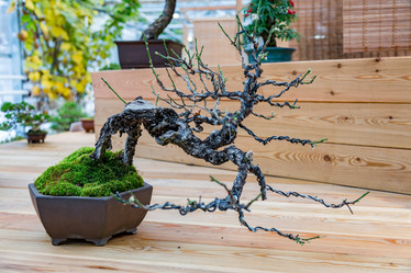 Similar image 16925786