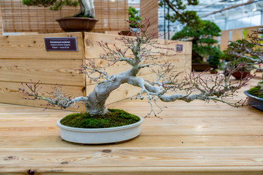 Similar image 16925787