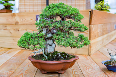 Similar image 16925811