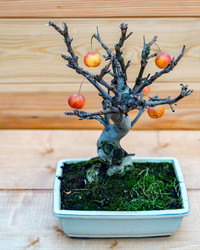 Similar image 16925768