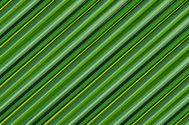 Similar image 16979902