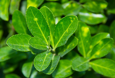 Similar image 16980736