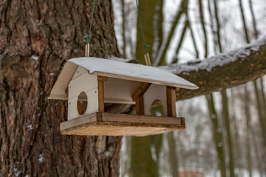 Similar image 16933052