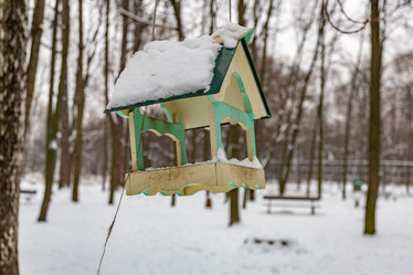 Similar image 16933053